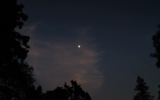 Haunting Inky Moon