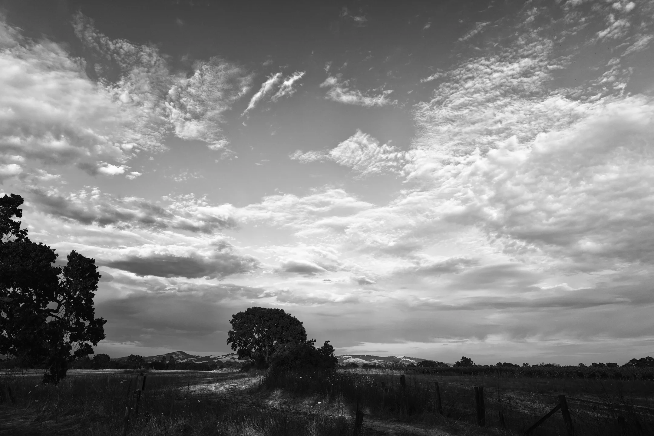 Solemn Textured Sky Fields