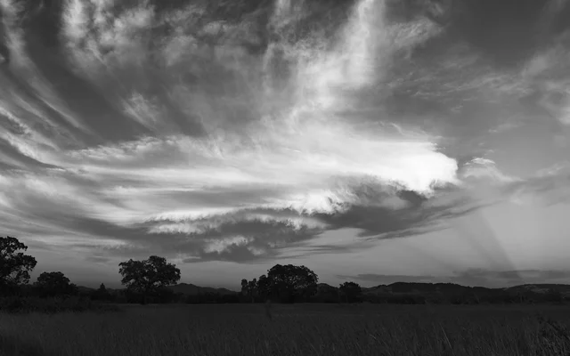 Dramatic Monochrome Cloudscape Field