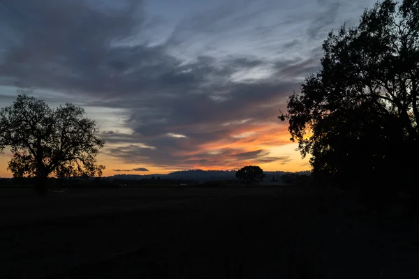 Smoldering Somber Horizon