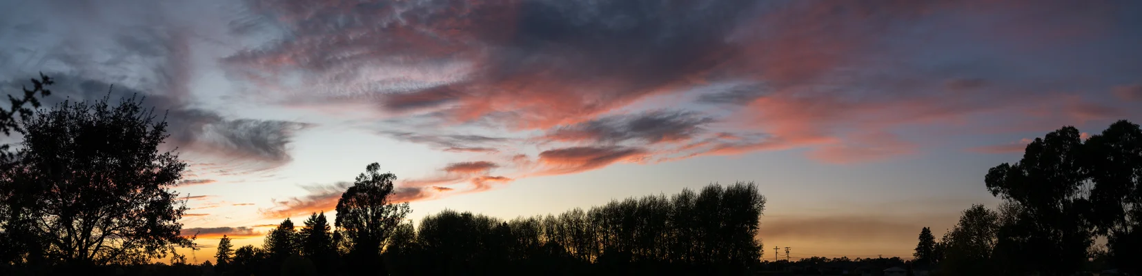 Wistful Smoldering Treeline Dusk