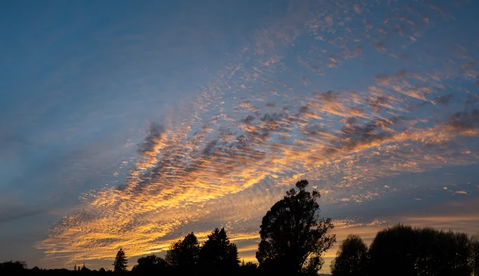 Contemplative Gilded Cloudscape