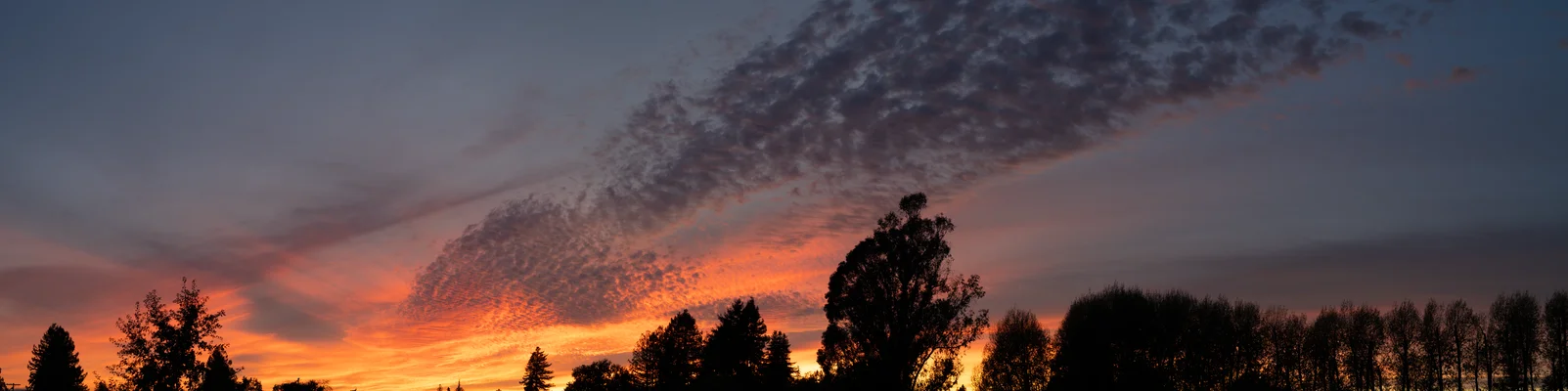 Fierce Molten Autumn Sky