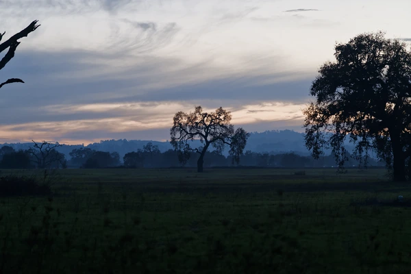 Elegiac Smoky Horizon