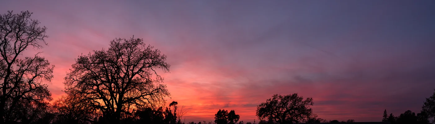 Hushed Violet Liminal Dusk