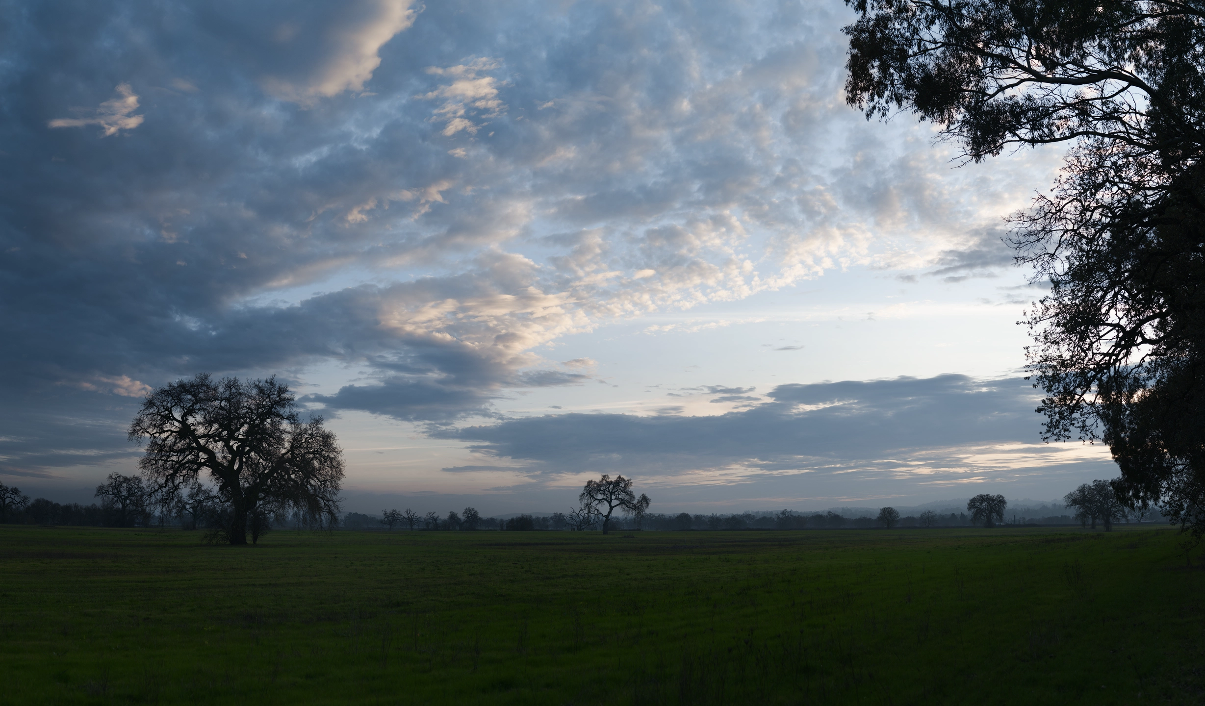 Forlorn Cool Field Horizon