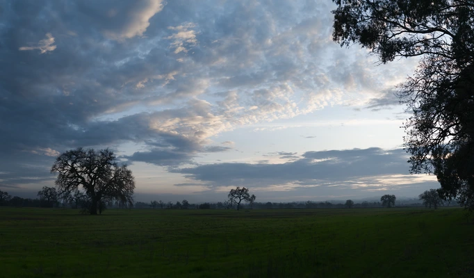 Forlorn Cool Field Horizon